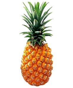 Pineapple Queen 1 pc (Approx 700 g - 1200 g)