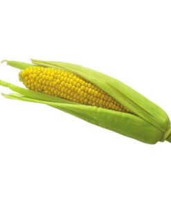 Sweet Corn 1 pc (Approx 250 g - 450 g)