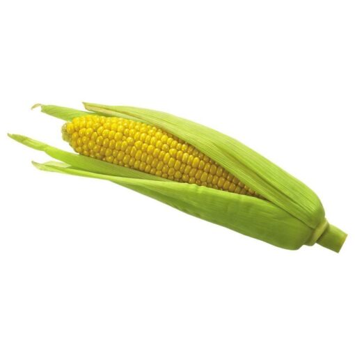 Sweet Corn 1 pc (Approx 250 g - 450 g)