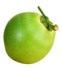 Tender Coconut 1 pc (Approx 800 g - 1500 g)